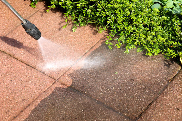 Best Affordable Power Washing  in Newport, SC